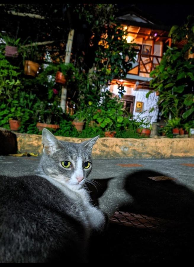 Hospedaje El Jardin San Agustin  Luaran gambar